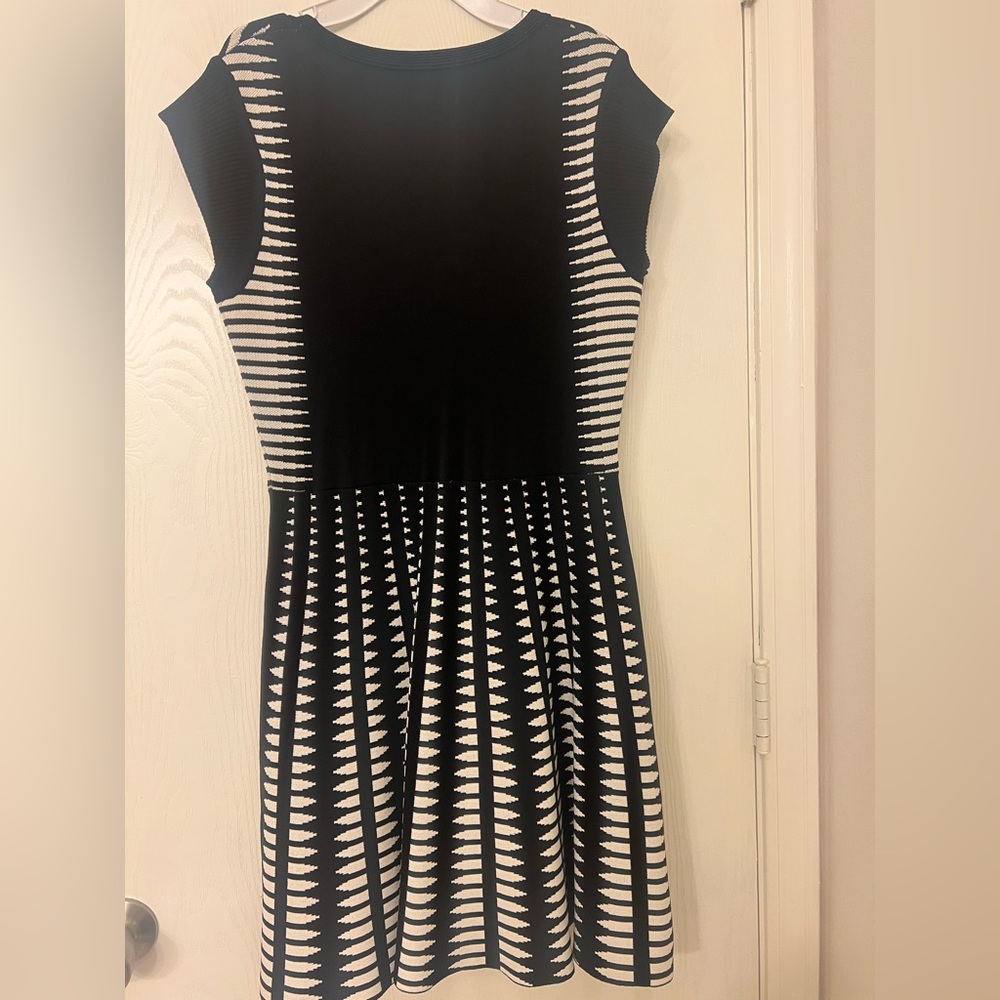 Zara Black and White Striped Midi Dress - Picture 10 of 10